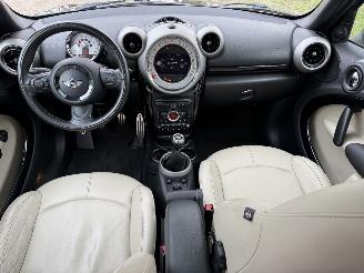 Mini Mini  picture 12