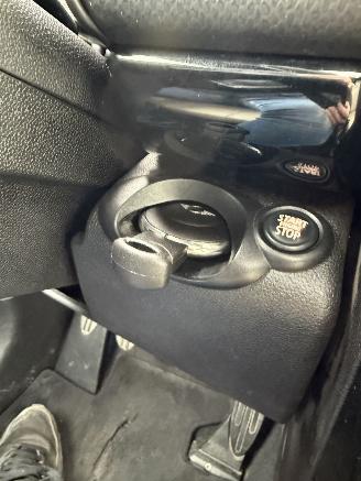 Mini Mini  picture 15