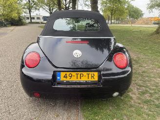 Volkswagen Beetle  picture 4