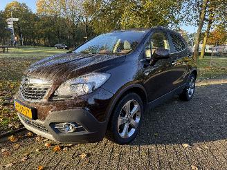 Vaurioauto  passenger cars Opel Mokka  2013/1