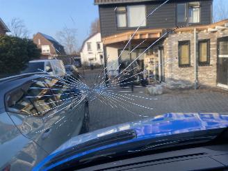 Mercedes Sprinter 3151.9  CDi L2 WB 367 cm Pro HD picture 31