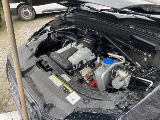 Audi SQ5 3.0 TSFI Quattro picture 46