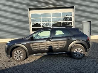 Citroën C4 cactus 1.6 Blue Hdi 100 Hatchback 4Dr Diesel 1.560cc 73kW (99pk) FWD picture 2