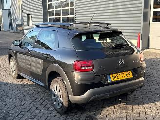 Citroën C4 cactus 1.6 Blue Hdi 100 Hatchback 4Dr Diesel 1.560cc 73kW (99pk) FWD picture 3