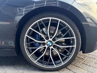 BMW 1-serie M135i 3.0 24V Hatchback 4Dr Benzine 2.979cc 236kW (327pk) RWD N55B30A picture 10