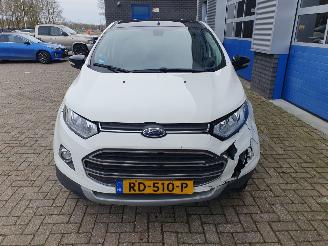 Ford EcoSport 1.0 EcoBoost Titanium S picture 8