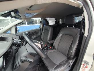 Ford EcoSport 1.0 EcoBoost Titanium S picture 13