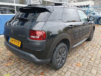 Citroën C4 cactus 1.6 BlueHDi Business picture 5
