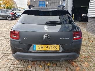 Citroën C4 cactus 1.6 BlueHDi Business picture 4