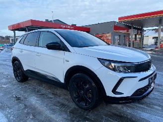 Opel Grandland 1.6 Automaat Hybrid picture 6