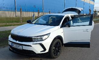 Opel Grandland 1.6 Automaat Hybrid picture 9
