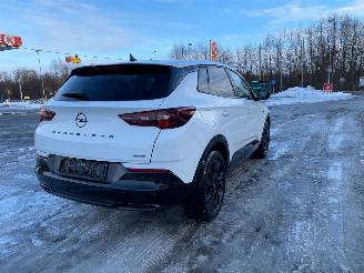 Opel Grandland 1.6 Automaat Hybrid picture 5