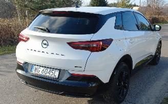 Opel Grandland 1.6 Automaat Hybrid picture 16