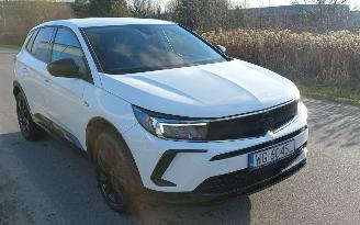 Opel Grandland 1.6 Automaat Hybrid picture 17