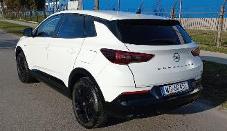 Opel Grandland 1.6 Automaat Hybrid picture 4