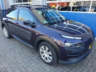 Citroën C4 cactus 1.2 PureTech Business picture 7