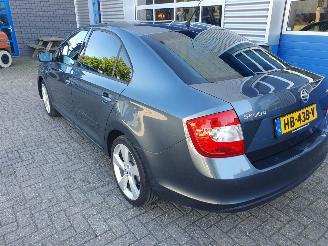 Skoda Rapid 1.2 TSI Greentech Elegance Businessline picture 3