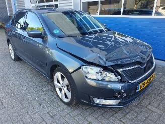 Skoda Rapid 1.2 TSI Greentech Elegance Businessline picture 7