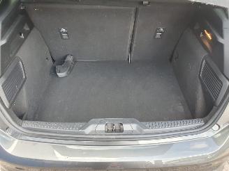 Ford Focus 1.0 EcoBoost Hybrid ST Line Business picture 29