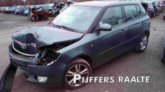 Skoda Fabia  picture 3