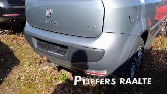 Fiat Punto Punto Evo (199), Hatchback, 2009 / 2012 1.3 JTD Multijet 85 16V Euro 5 picture 17