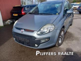 Fiat Punto Punto Evo (199), Hatchback, 2009 / 2012 1.3 JTD Multijet 85 16V Euro 5 picture 3