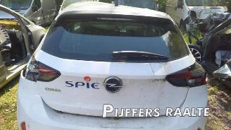 Opel Corsa Corsa F (UB/UH/UP), Hatchback 5-drs, 2019 1.2 Turbo 12V 100 picture 28