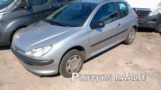Auto da rottamare Peugeot 206 206 (2A/C/H/J/S), Hatchback, 1998 / 2012 1.1 XN,XR 2001/1