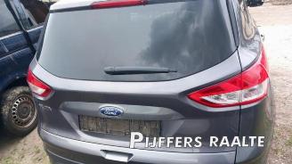 Ford Kuga Kuga II (DM2), SUV, 2012 2.0 TDCi 16V 140 picture 11