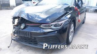 Volkswagen Golf Golf VIII (CD1), Hatchback, 2019 2.0 GTI Clubsport 16V picture 2
