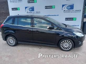 Autoverwertung Ford Grand C-Max Grand C-Max (DXA), MPV, 2010 / 2019 1.0 Ti-VCT EcoBoost 12V 125 2013/11