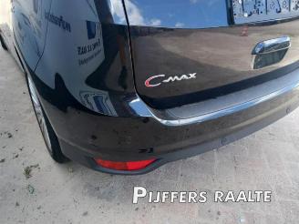 Ford Grand C-Max Grand C-Max (DXA), MPV, 2010 / 2019 1.0 Ti-VCT EcoBoost 12V 125 picture 21