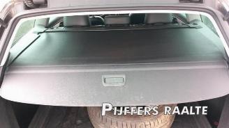 Volkswagen Passat Passat Variant (365), Combi, 2010 / 2015 2.0 TDI 16V 135 picture 16