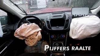 Ford Kuga Kuga II (DM2), SUV, 2012 1.5 EcoBoost 16V 150 picture 14