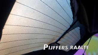 Dacia Logan Logan MCV II/Sandero Wagon (7S), Combi, 2013 1.0 TCe 100 12V picture 8