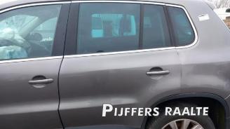 Volkswagen Tiguan Tiguan (5N1/2), SUV, 2007 / 2018 2.0 TSI 16V 4Motion picture 10