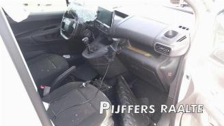 Opel Combo Combo Cargo, Van, 2018 1.5 CDTI 100 picture 11