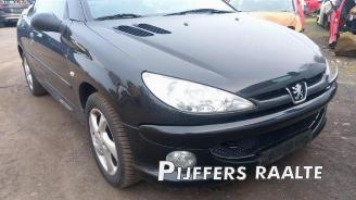 Peugeot 206 206 CC (2D), Cabrio, 2000 / 2007 1.6 16V picture 6