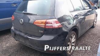 Volkswagen Golf Golf VII (AUA), Hatchback, 2012 / 2021 1.6 TDI 16V picture 8