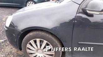 Volkswagen Golf Golf V (1K1), Hatchback, 2003 / 2010 1.6 FSI 16V picture 7