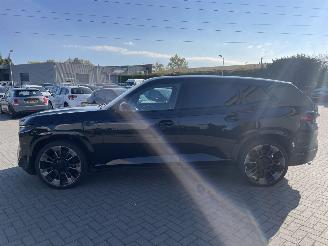 BMW XM PHEV 50e 30 kWh NL AUTO N.A.P 410 PK picture 6