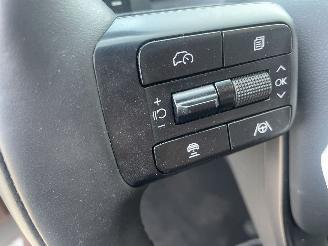 Hyundai Santa Fe 1.6 T-GDI PHEV Black Line 4WD 7p N.A.P NL AUTO picture 21