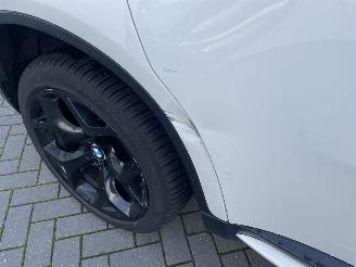 BMW X6 xDrive30d High Executive picture 27