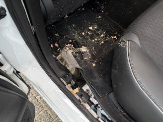 Renault Kadjar 1.3 TCE  Automaat  Bose (km 42.169) picture 15