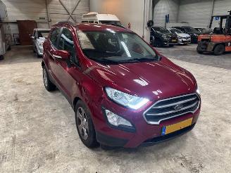 Ford EcoSport 1.0 EcoBoost Ultimate (km 54.810 NAP ) picture 16