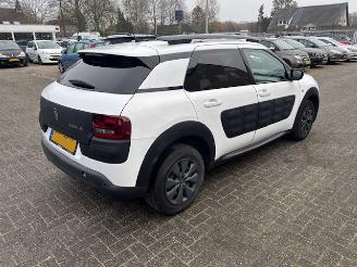 Citroën C4 cactus 1.6 HDI  Pano Business Plus picture 2