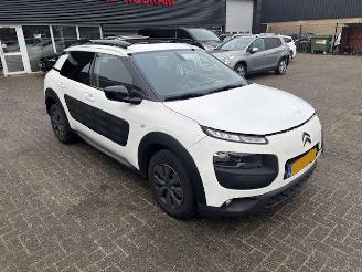 Citroën C4 cactus 1.6 HDI  Pano Business Plus picture 3