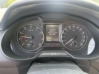 Skoda Octavia 1.0 TSI DSG Greentech NAP picture 15