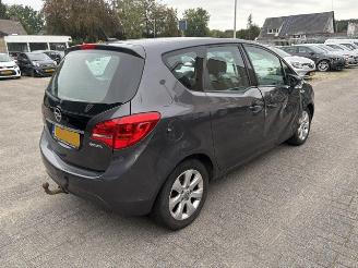 Opel Meriva 1.4 Turbo Edition  Nap picture 5