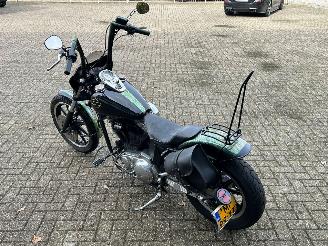 Harley-Davidson Sportster XL 883 Hugger picture 5